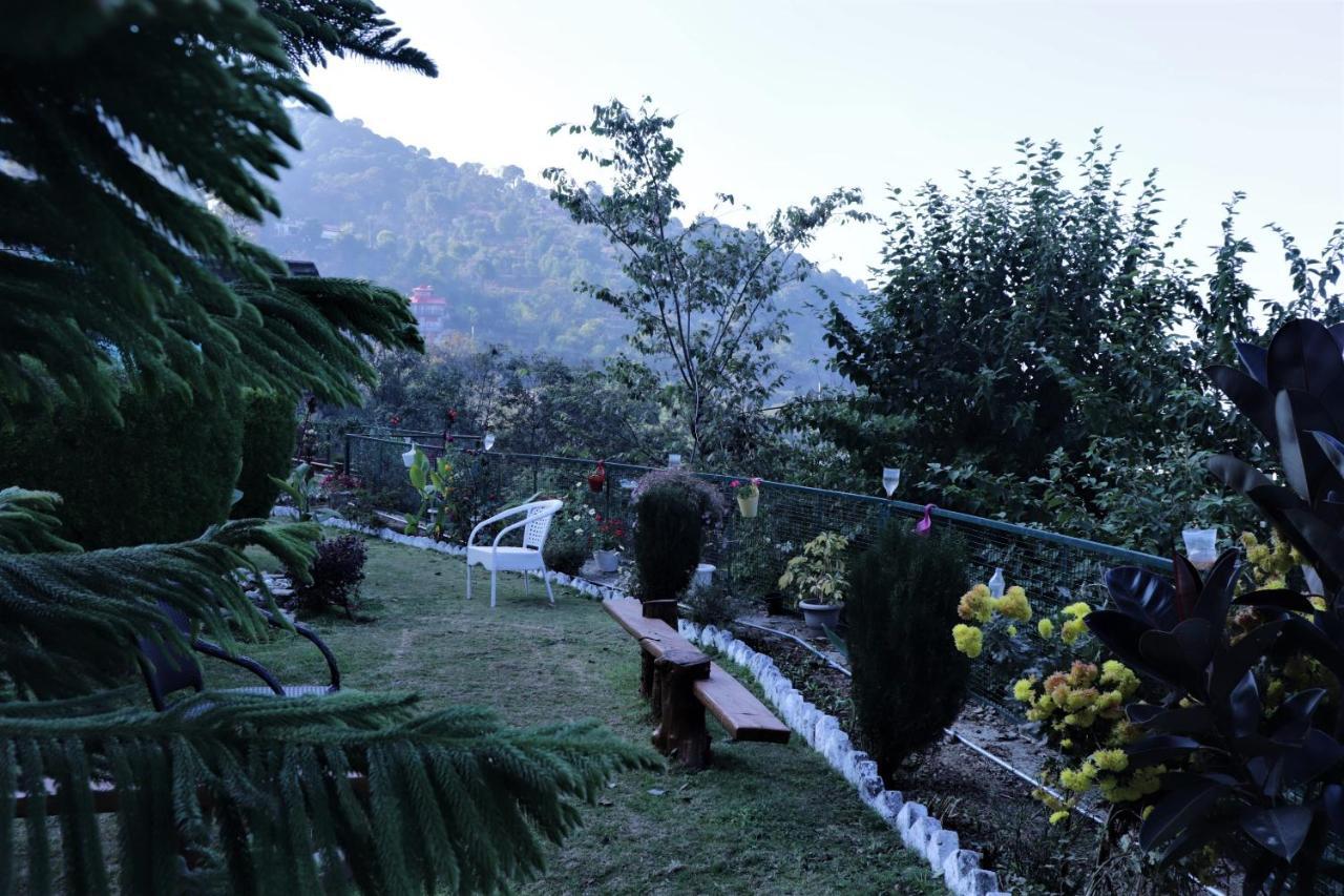 Wildleaf Kasauli Valley Homz Bed and Breakfast Eksteriør billede